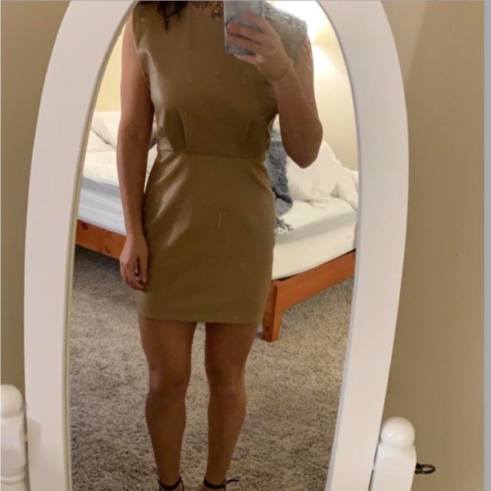 Zara Tan Leather Dress